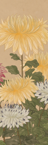 Nature Rubber - Flower - 2 - 185*68*0.45cm - Single Color Printed Yoga Mat with Latex Printed Alignment Lines - in-use view